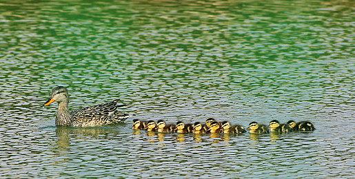 网易公布第二季度财报：净收入205亿元